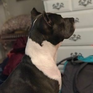 Meet your Posher, Don